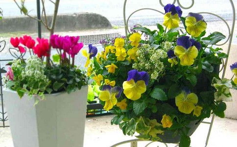 ���Ӧ�����ѡ��������